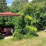 Sunshine Vom Friesenhof Wieratal * Nobitz