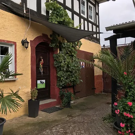 Sunshine Vom Friesenhof Wieratal *