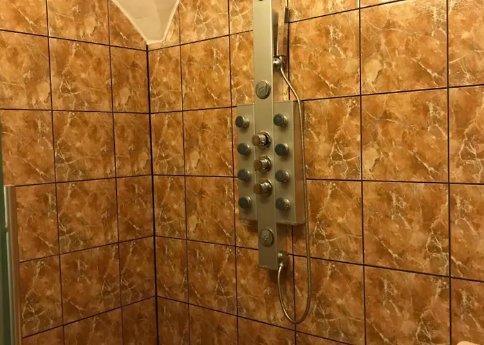 Sunshine Vom Friesenhof Wieratal Daire