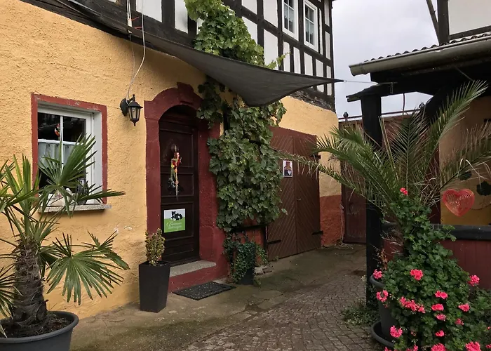 Sunshine Vom Friesenhof Wieratal *