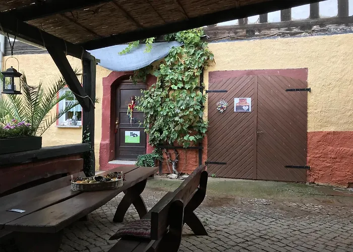 Sunshine Vom Friesenhof Wieratal