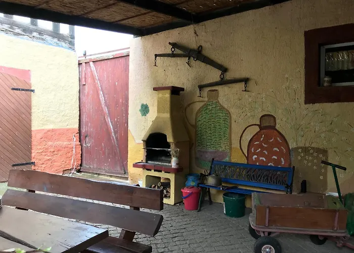 Sunshine Vom Friesenhof Wieratal * Nobitz