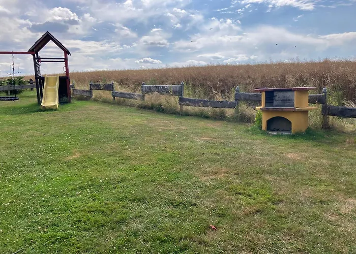 Sunshine Vom Friesenhof Wieratal * Nobitz