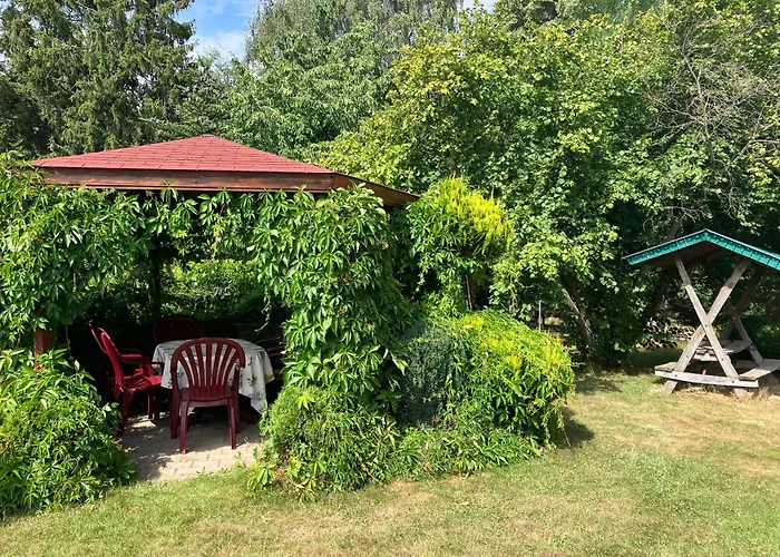 Sunshine Vom Friesenhof Wieratal * Nobitz